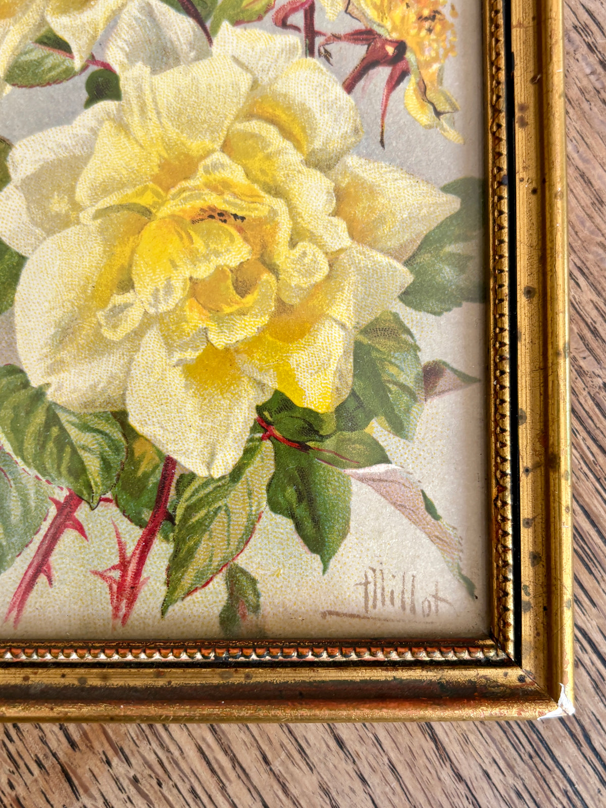 Lot de 4 cadres fleurs vintage