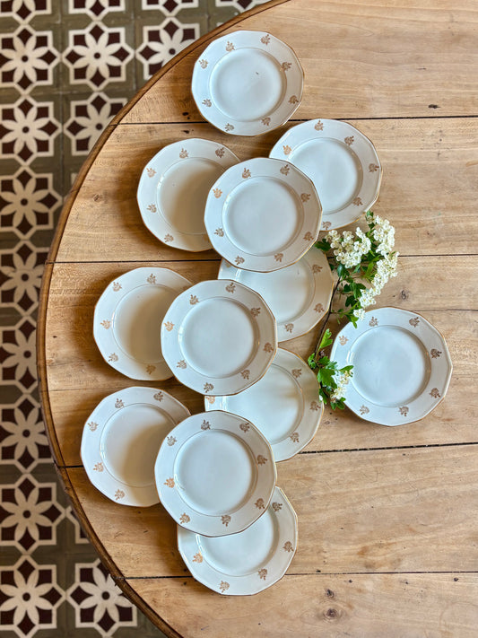 Lot de 12 assiettes à dessert vintage en porcelaine avec détails dorés