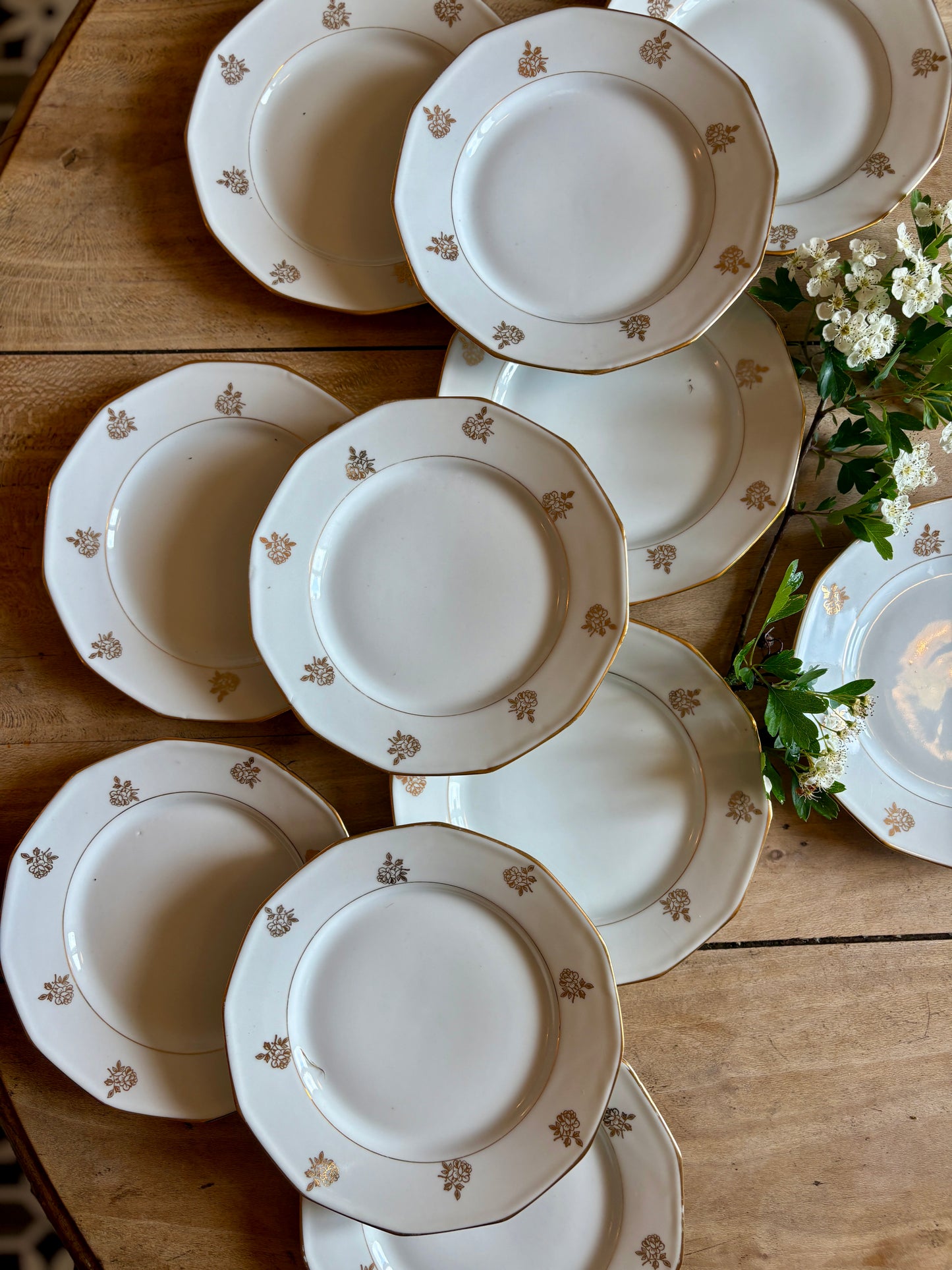 Lot de 12 assiettes à dessert vintage en porcelaine avec détails dorés