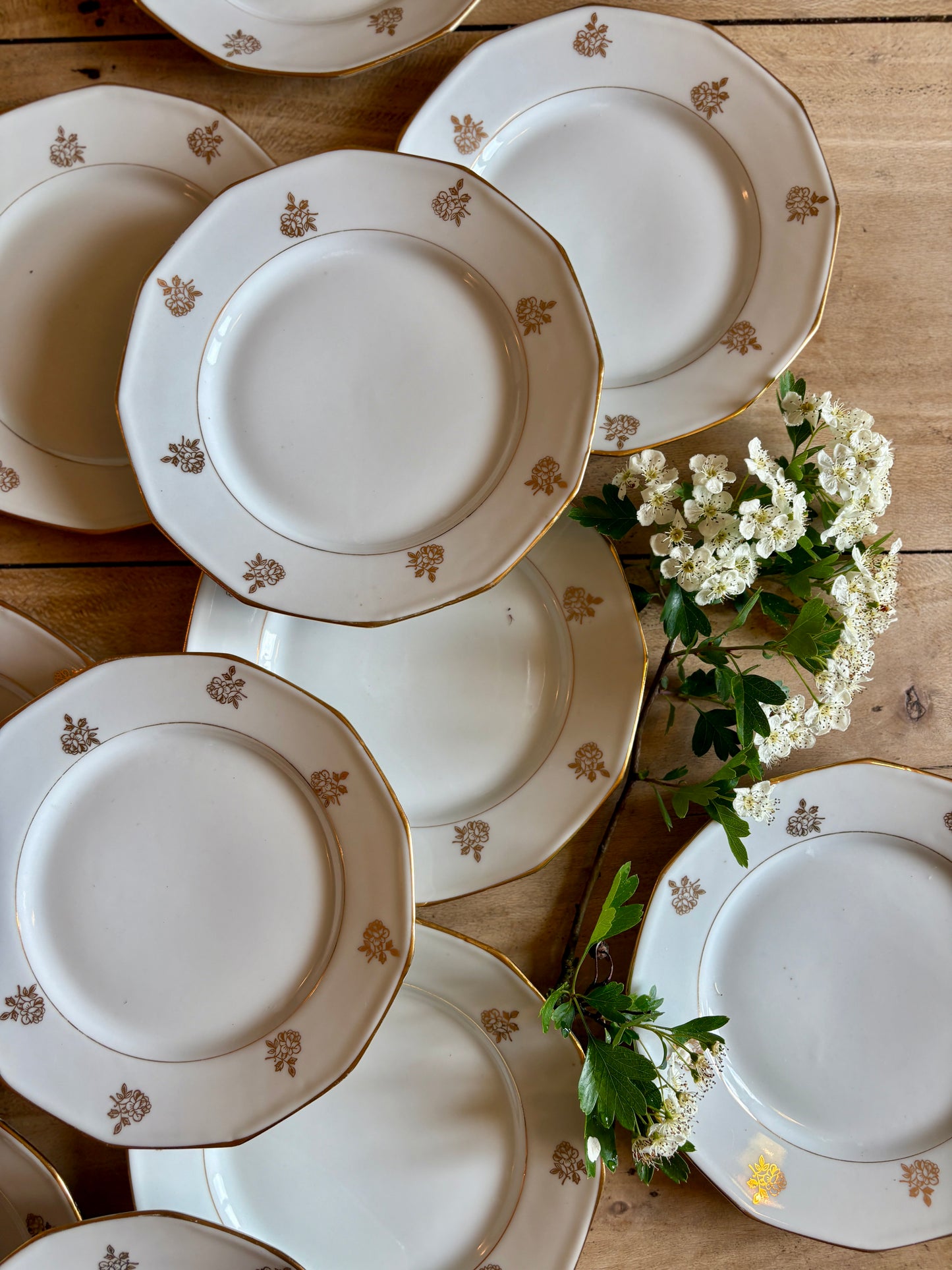 Lot de 12 assiettes à dessert vintage en porcelaine avec détails dorés