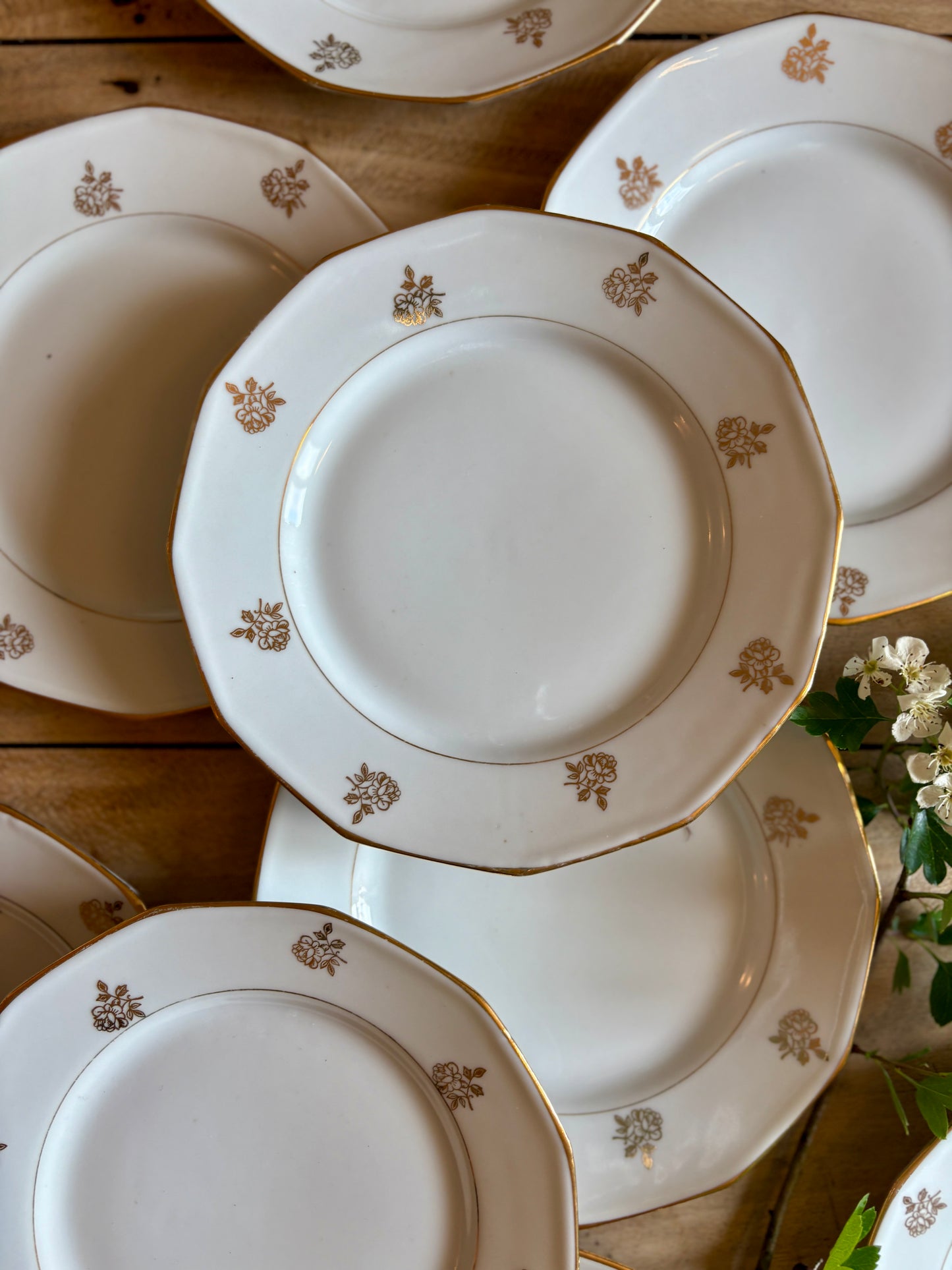 Lot de 12 assiettes à dessert vintage en porcelaine avec détails dorés