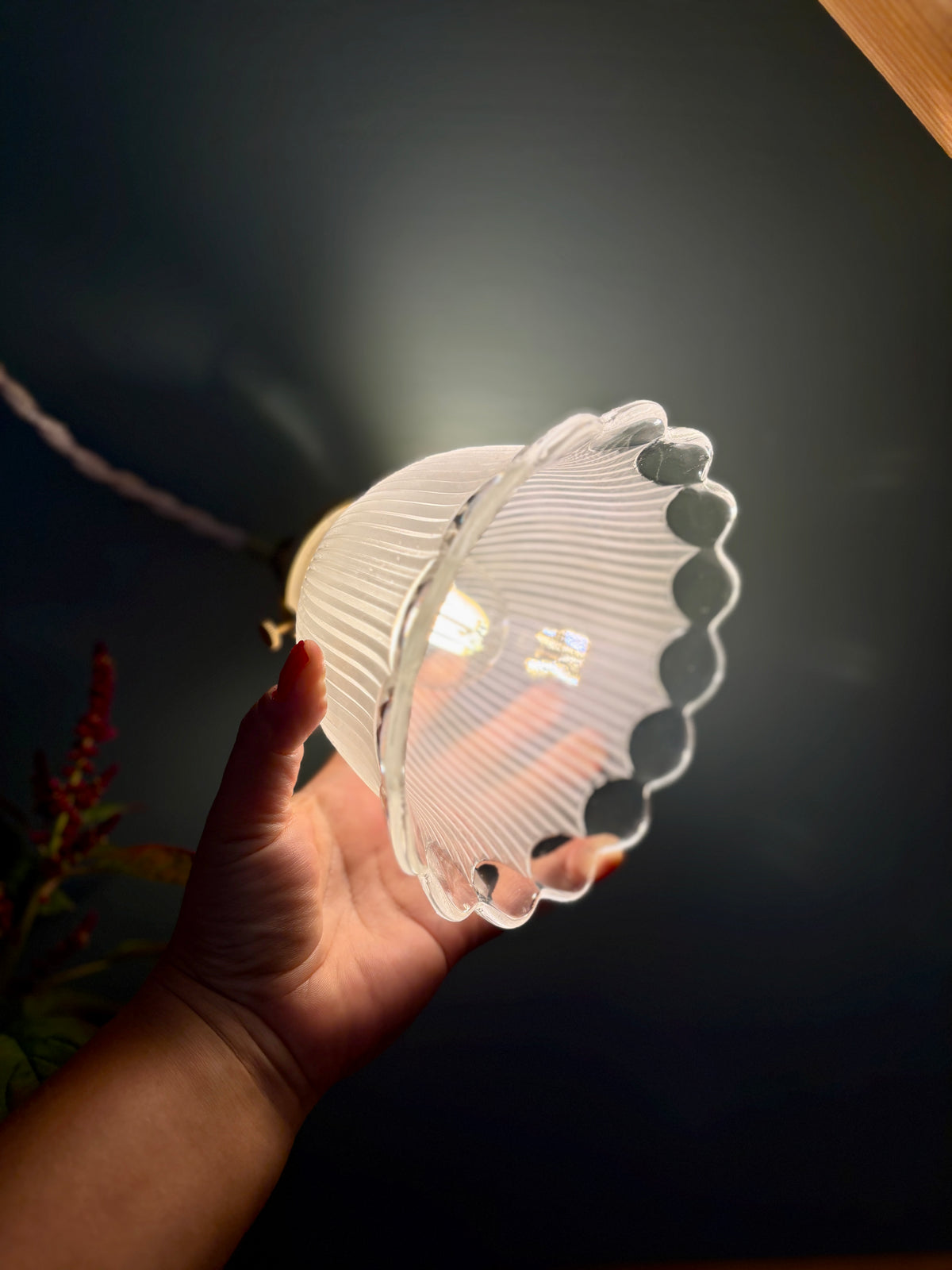 Suspension tulipe vintage en verre dépoli (TFB1)