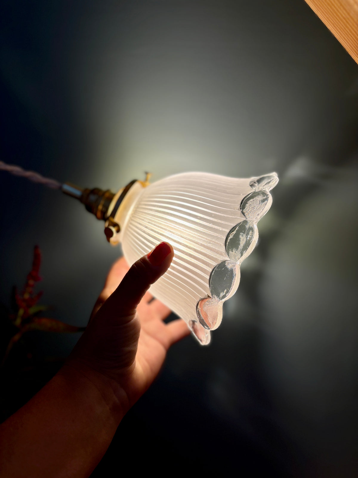 Suspension tulipe vintage en verre dépoli (TFB1)