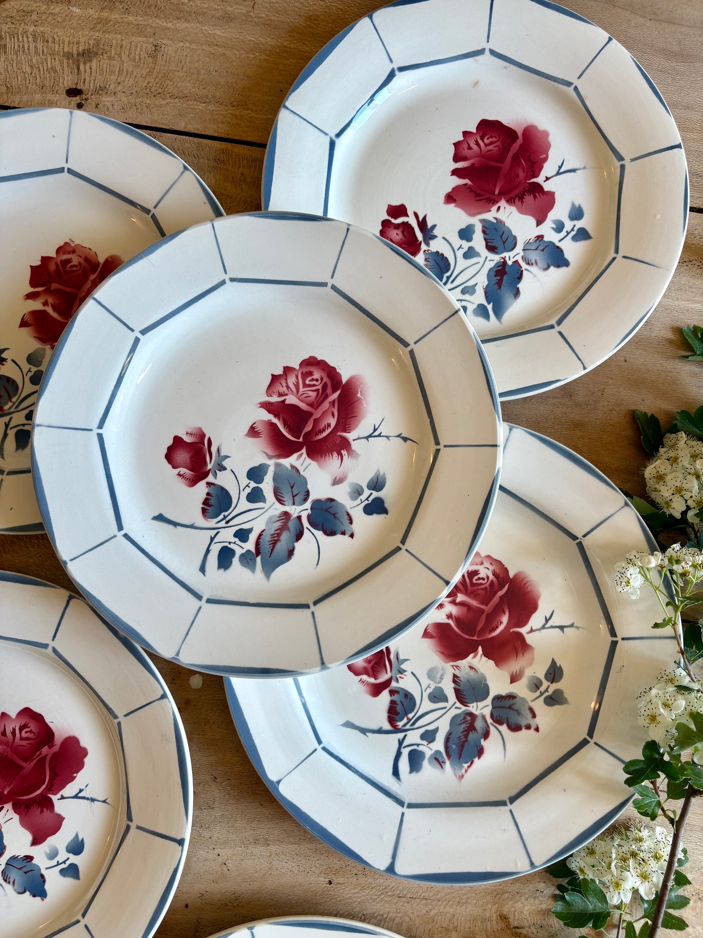 Lot de 6 assiettes plates vintage - Modèle Malmaison de Digoin Sarreguemines