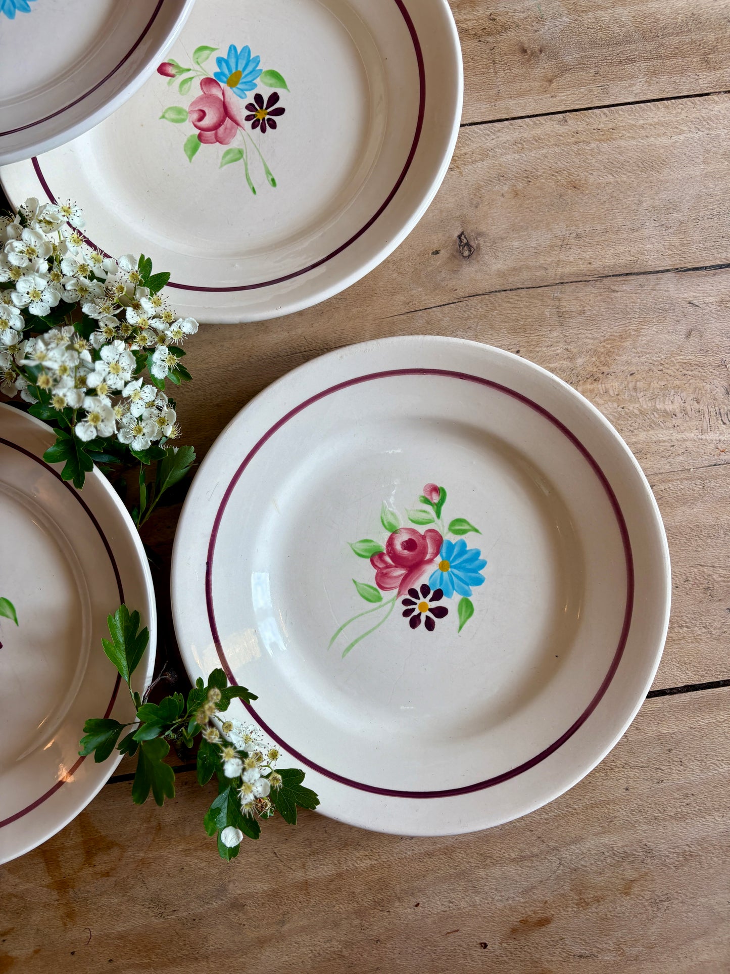 Lot de 6 assiettes plates vintage, Modèle Macon de Nidervillier