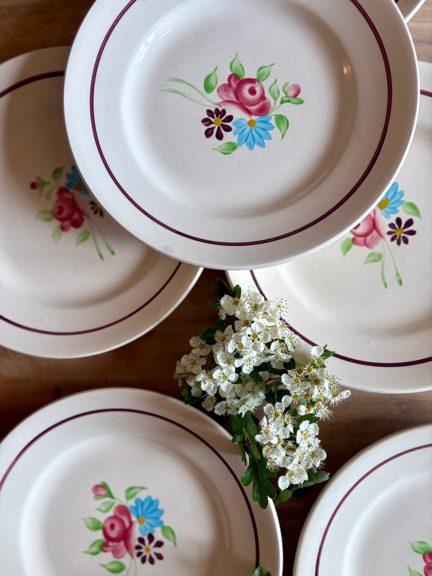 Lot de 6 assiettes plates vintage, Modèle Macon de Nidervillier