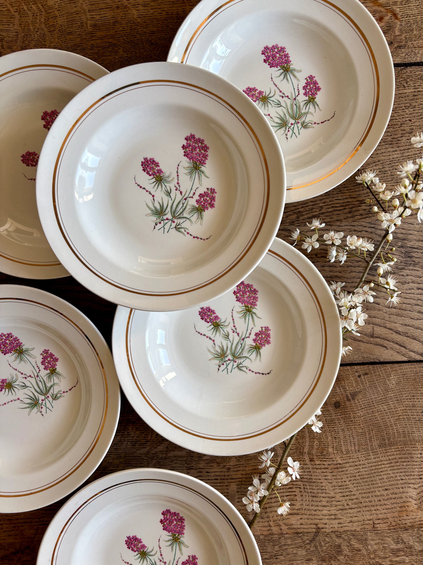 Lot de 6 assiettes creuses vintage - Moulin des Loups