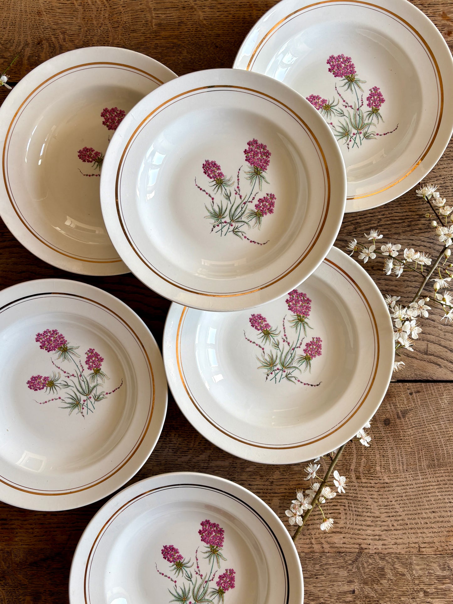 Lot de 6 assiettes creuses vintage - Moulin des Loups