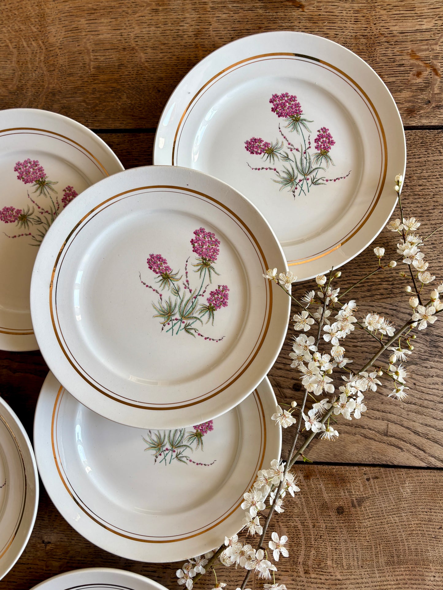 Lot de 6 assiettes plates vintage - Moulin des Loups