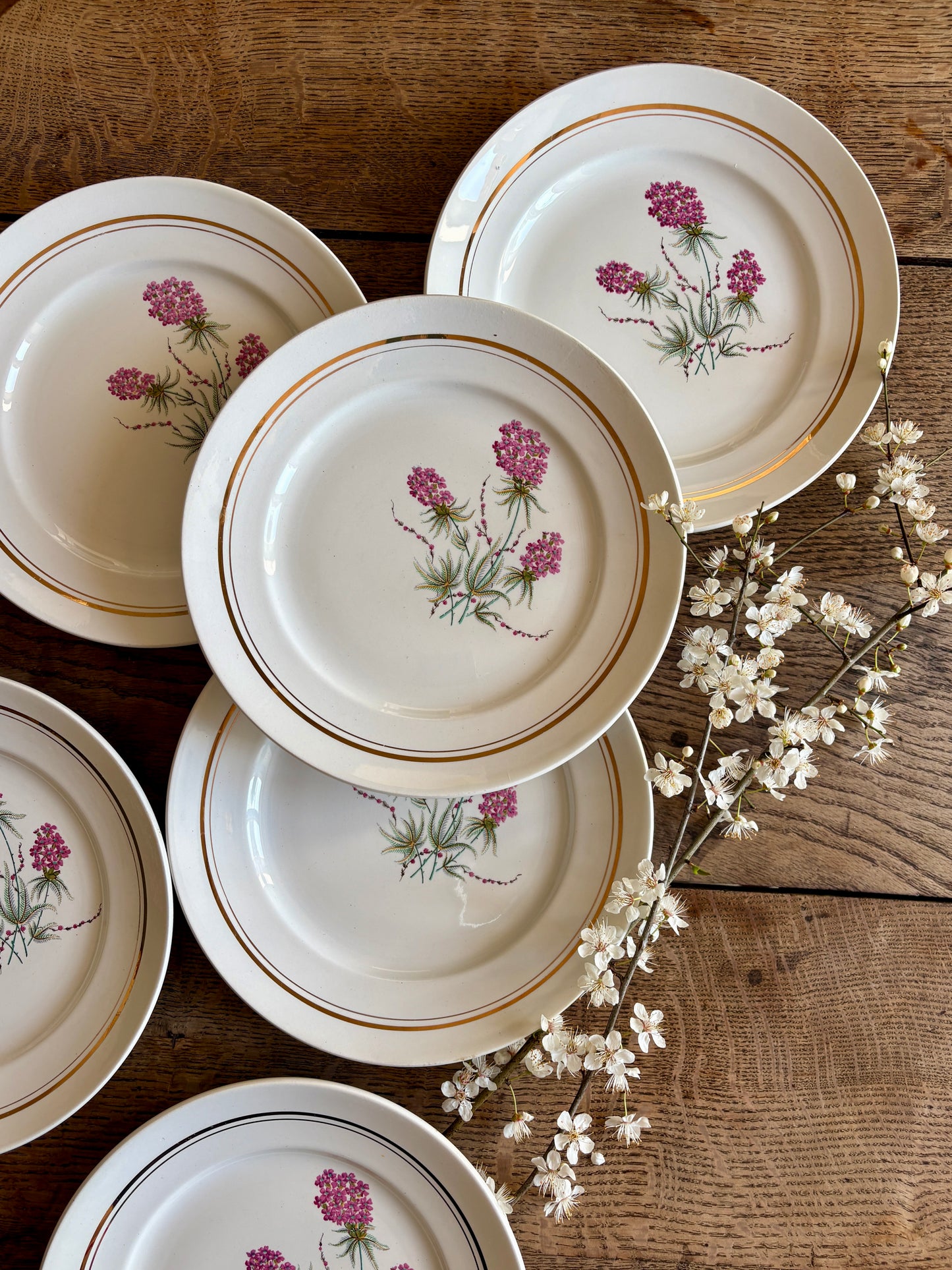 Lot de 6 assiettes plates vintage - Moulin des Loups