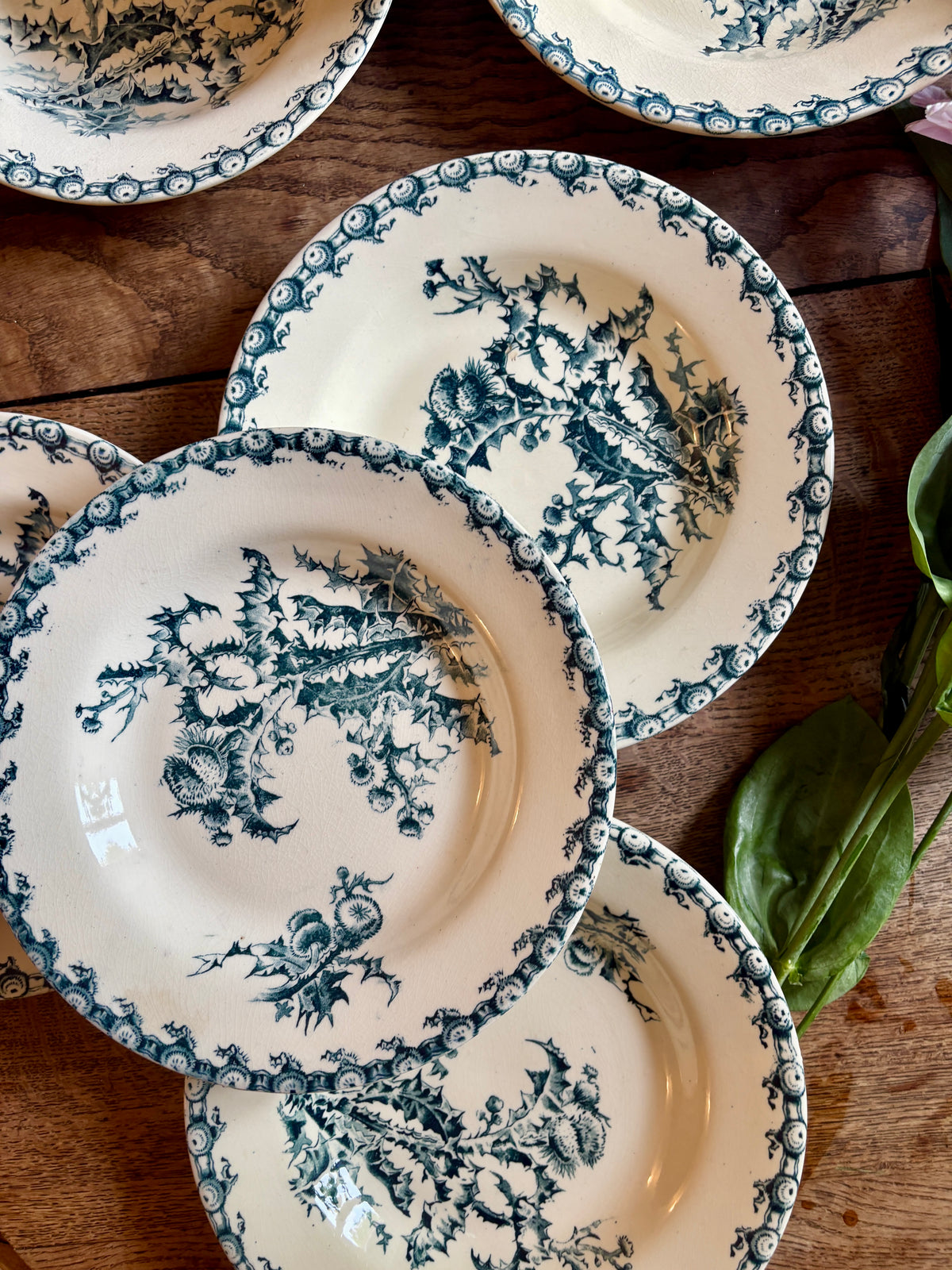 Lot de 8 assiettes creuses anciennes en terre de fer, Chardons de Gien