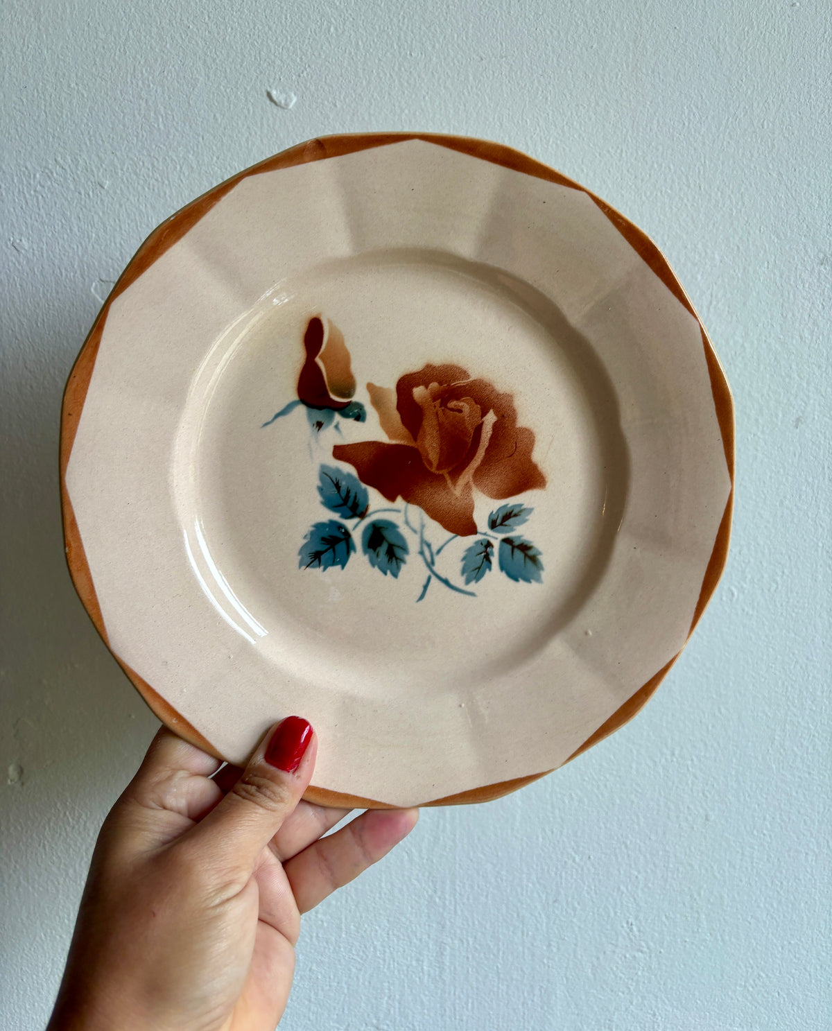 Lot de 7 assiettes plates vintage de Digoin Sarreguemines