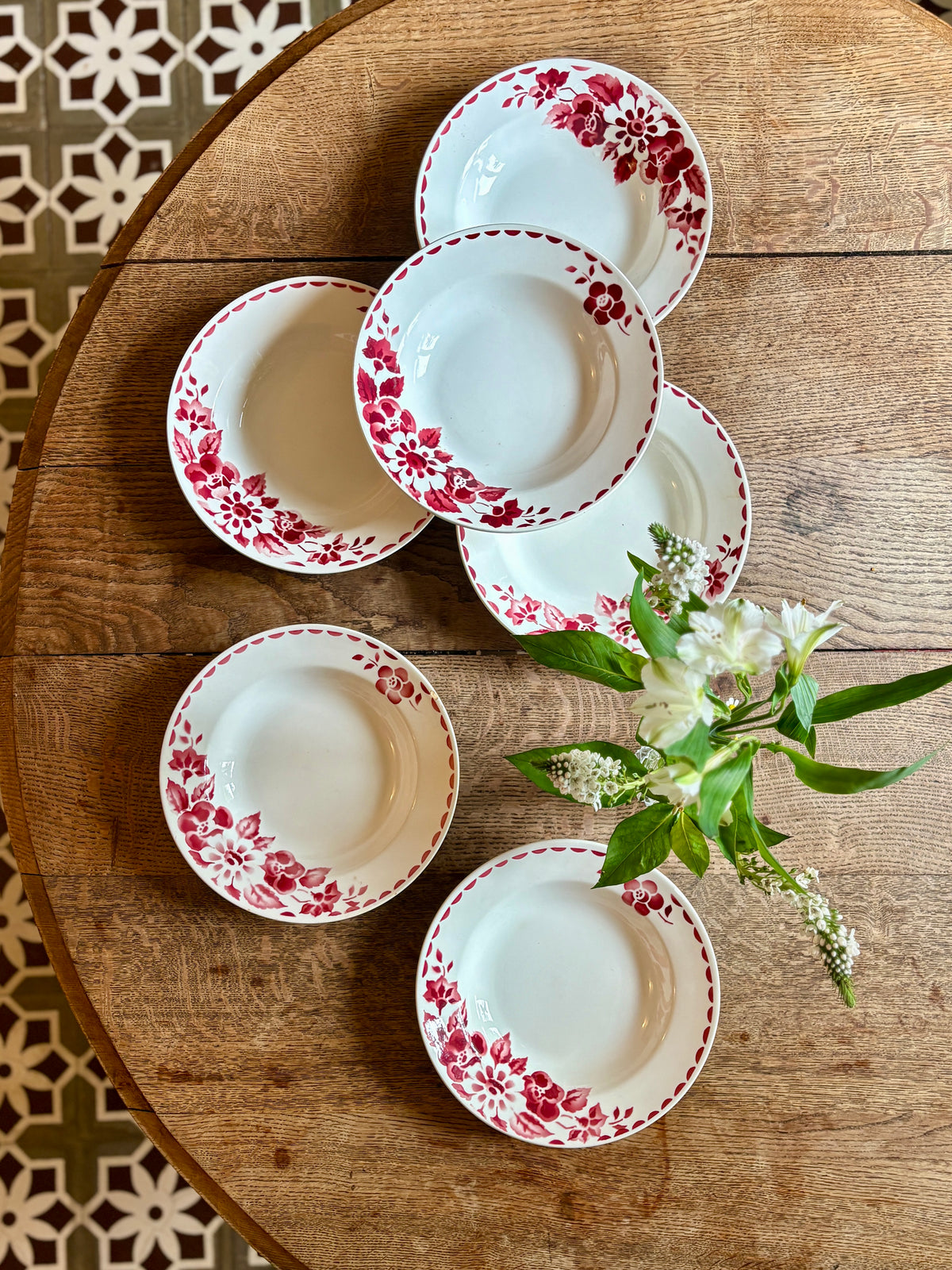 Lot de 6 assiettes creuses vintage Modèle Jane de Céranord