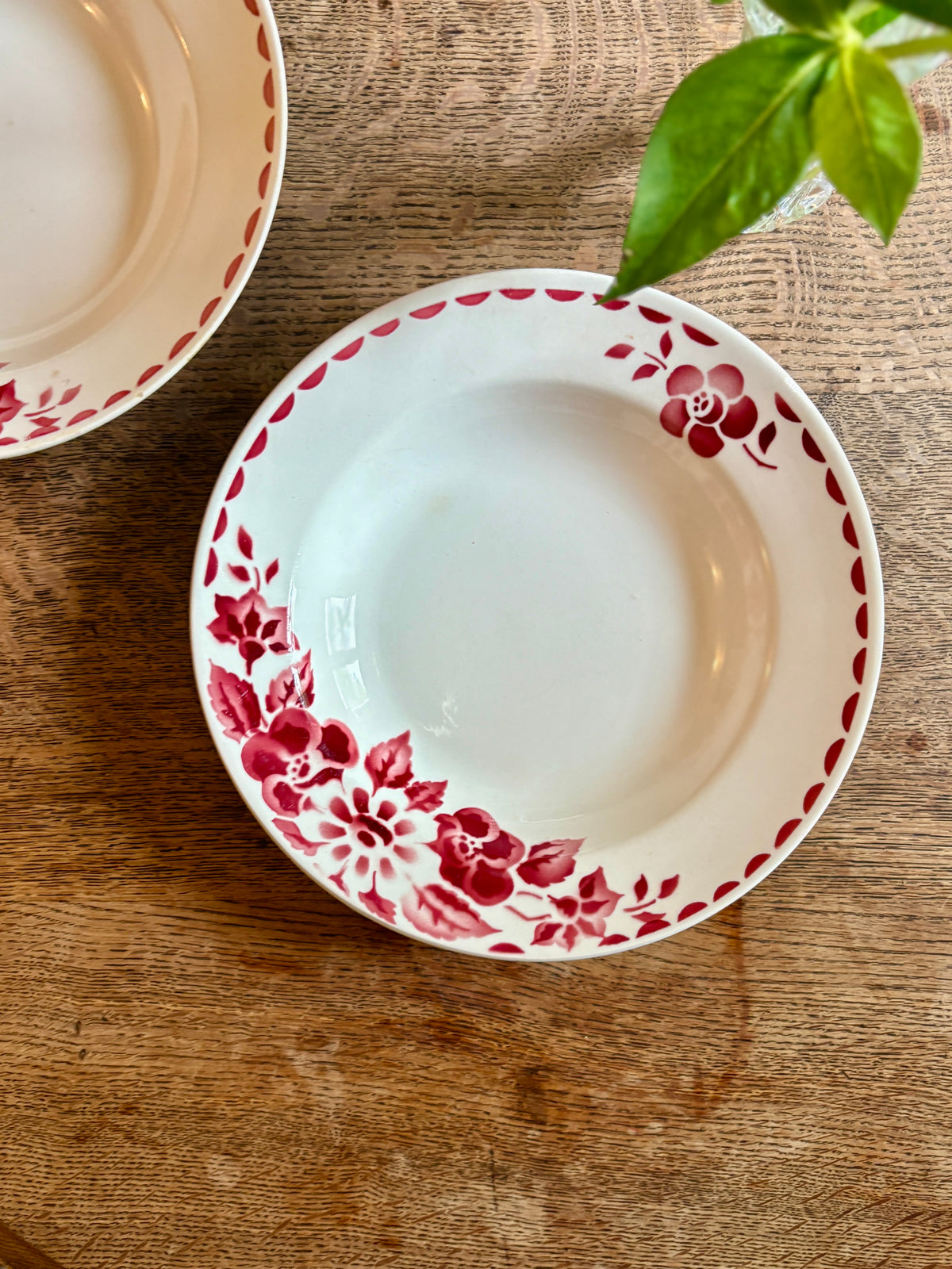 Lot de 6 assiettes creuses vintage Modèle Jane de Céranord