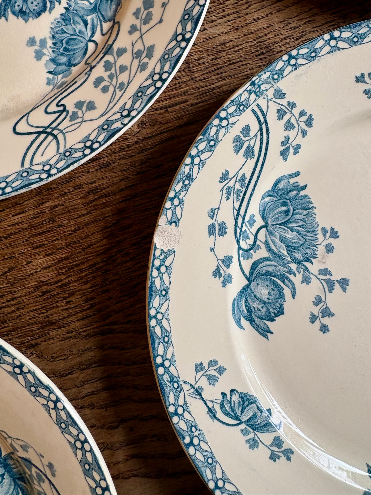 Lot de 10 assiettes plates anciennes en terre de fer, Royat de Sarreguemines