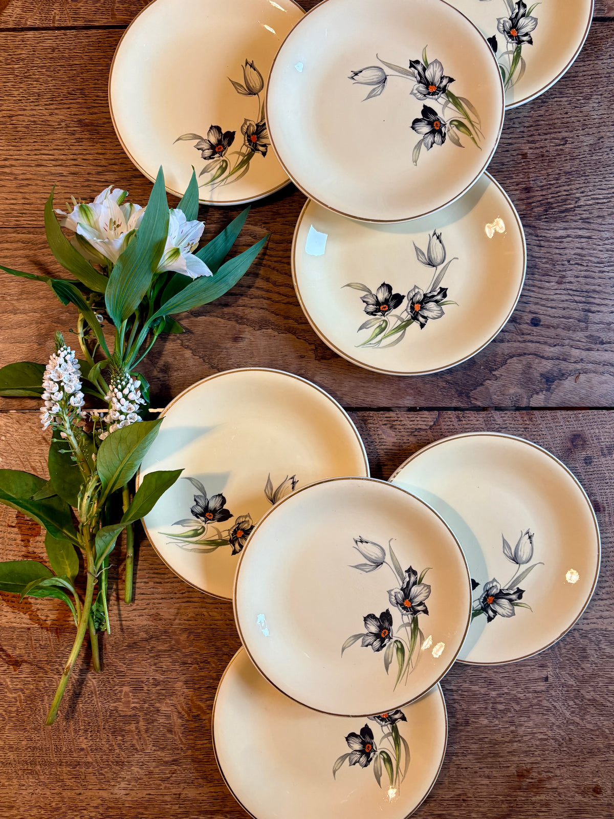 Lot de 8 assiettes à dessert vintage, Tulipe de Céranord