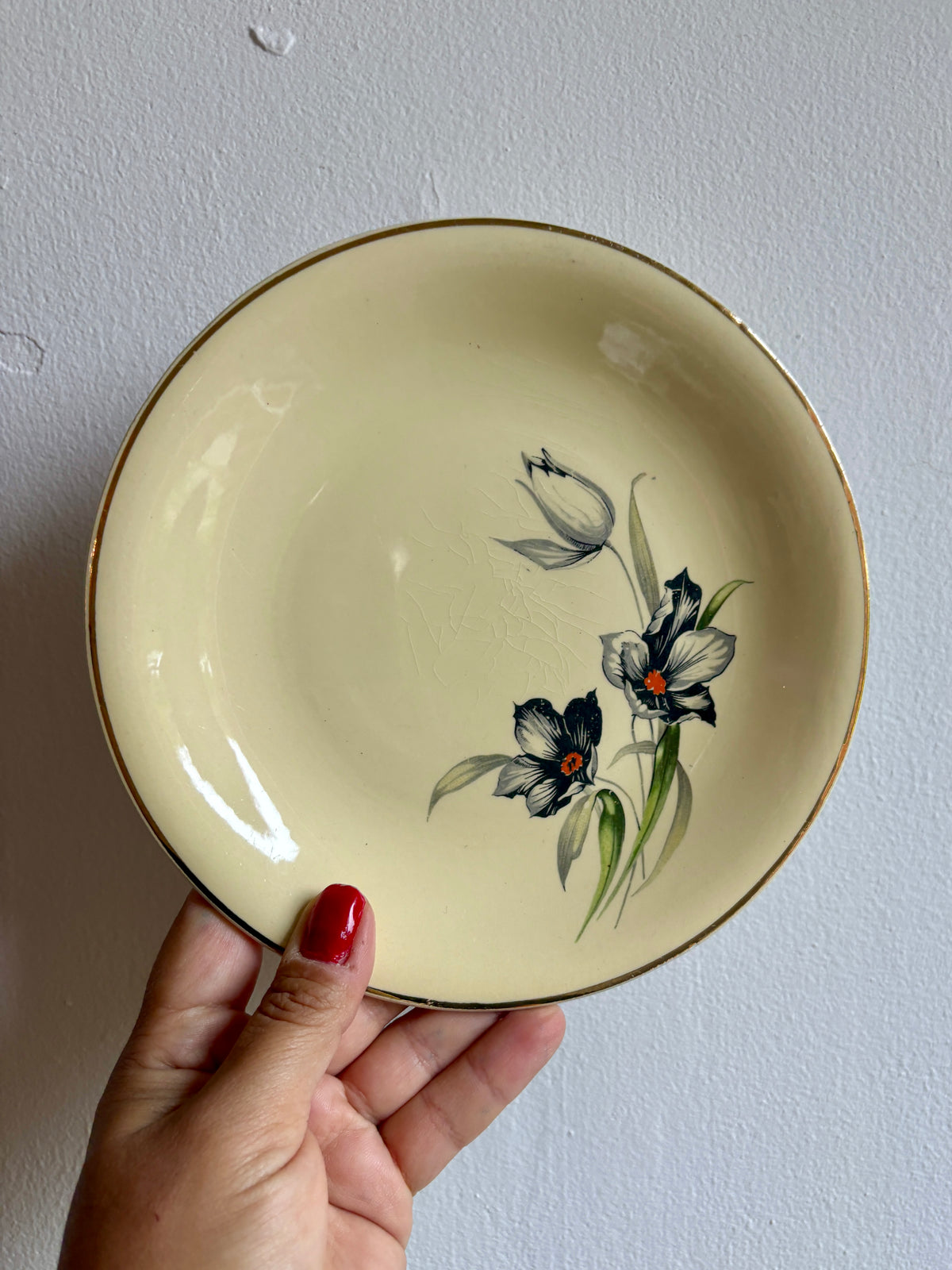 Lot de 8 assiettes à dessert vintage, Tulipe de Céranord