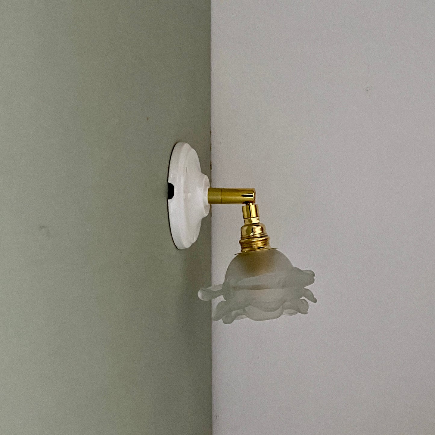 Applique tulipe vintage en verre dépoli en forme de rose